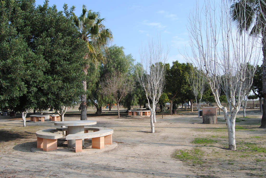 Secano